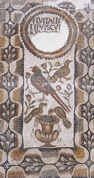Птицы у фонтана. (Римская мозаика 4-5 века). ТУнис. (Фото Лимарева В.Н.)